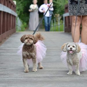 Meet your Posher, Paula